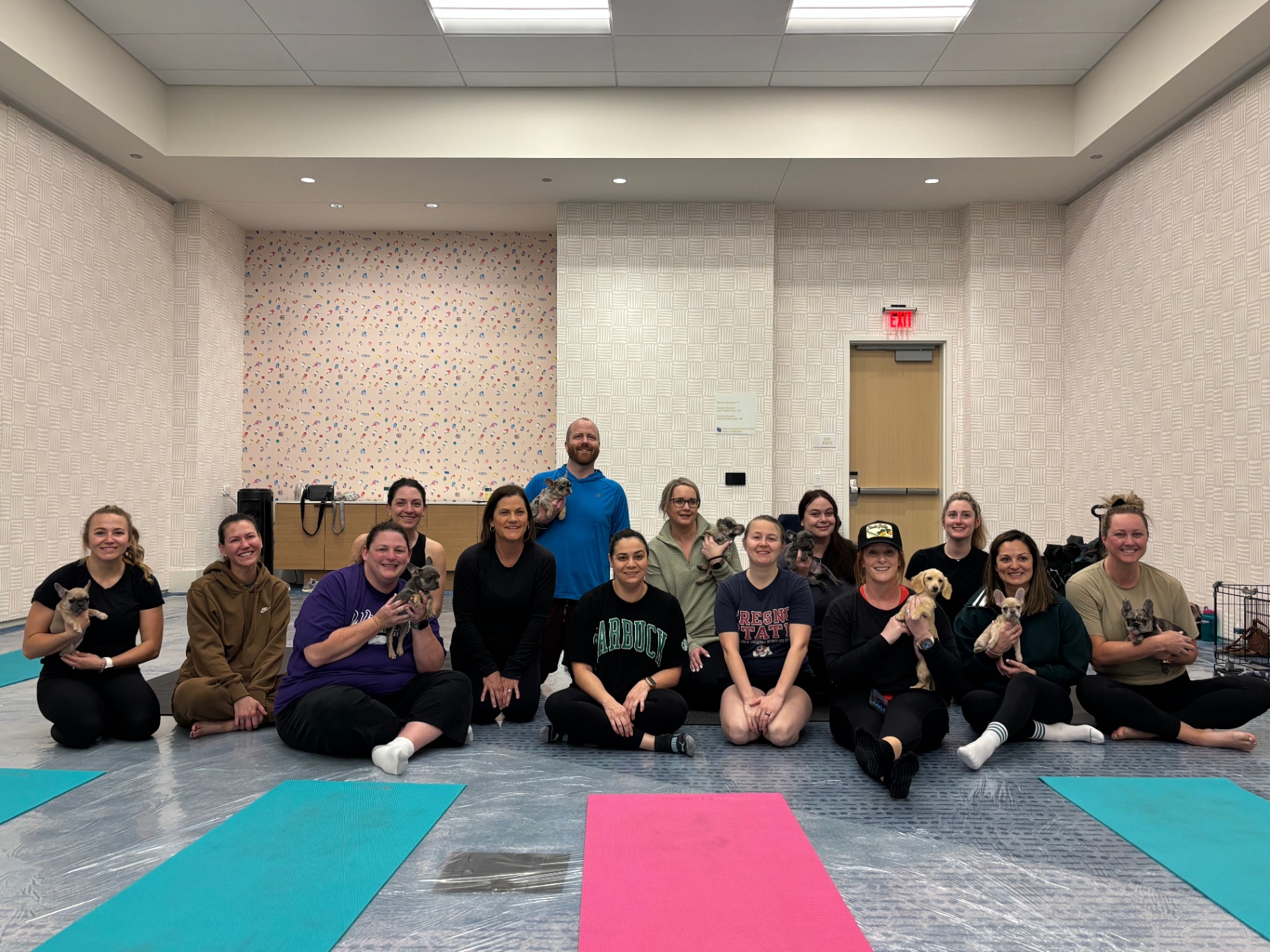Indoor San Diego group seated together with French bulldog puppies