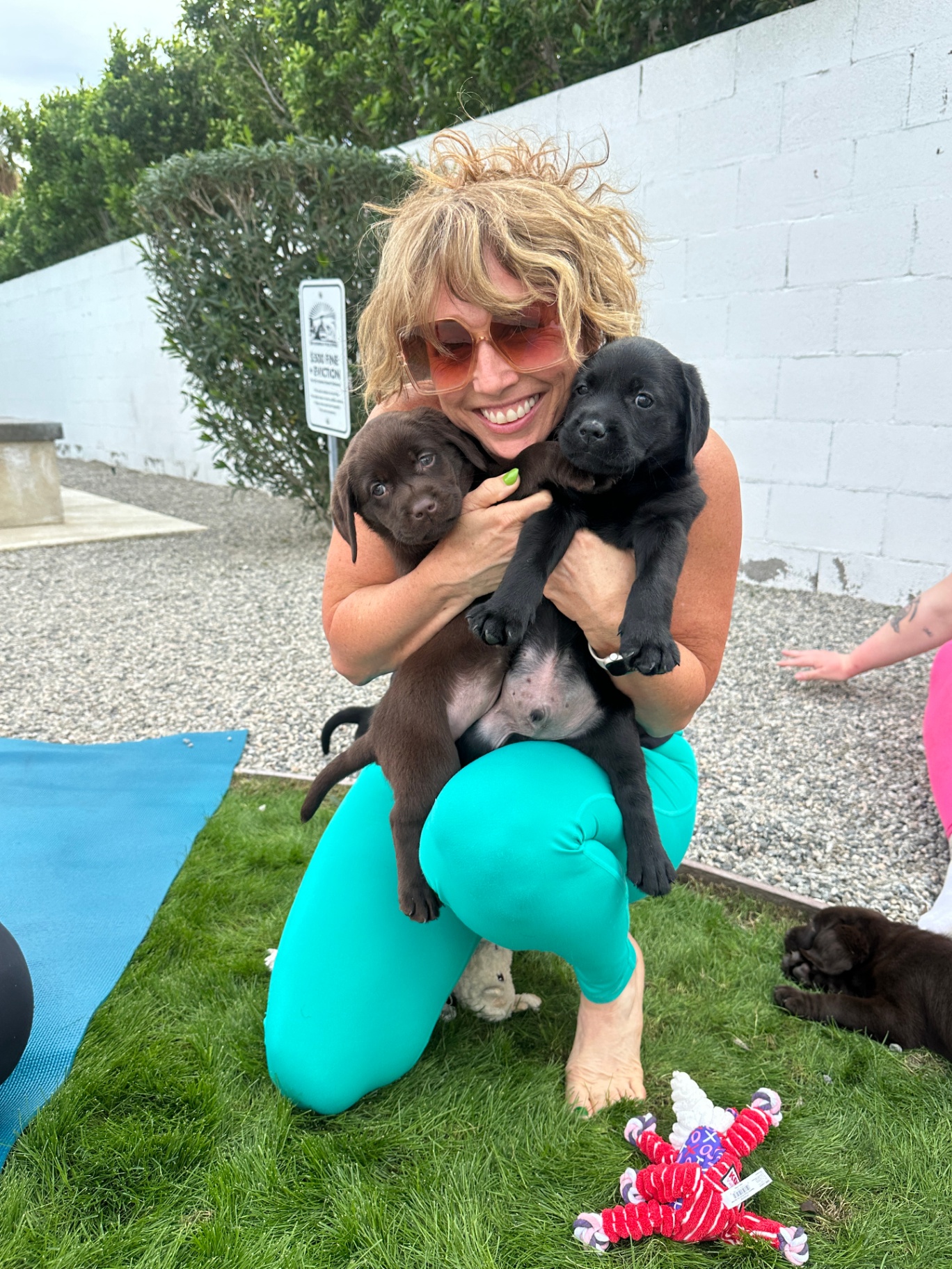 Guest in teal leggings hugging a chocolate and black lab puppy on the grass