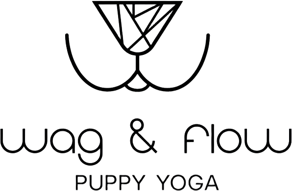 Wag & Flow Puppy Yoga