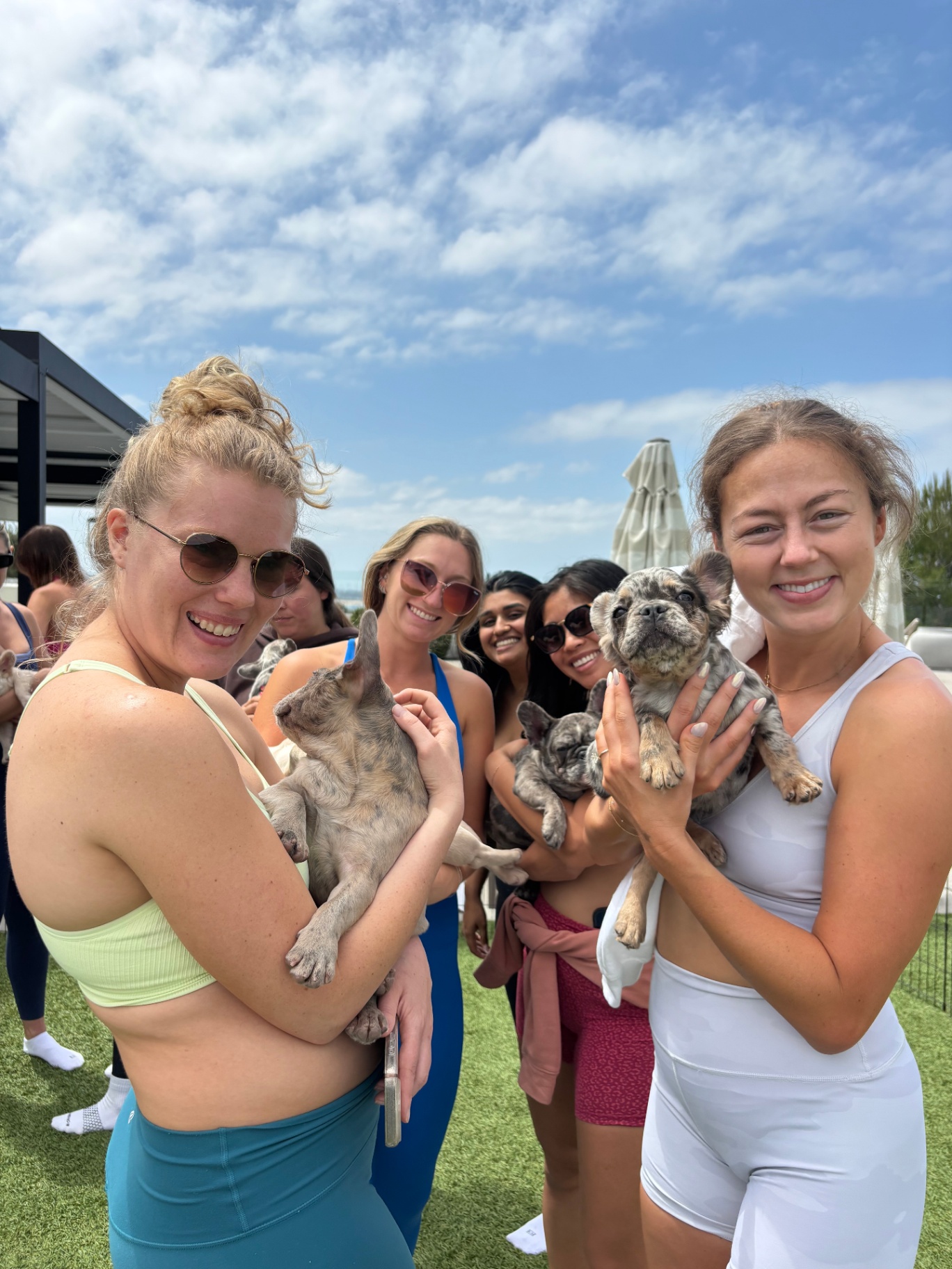 Two guests showing off merle French bulldog puppies in the sunshine