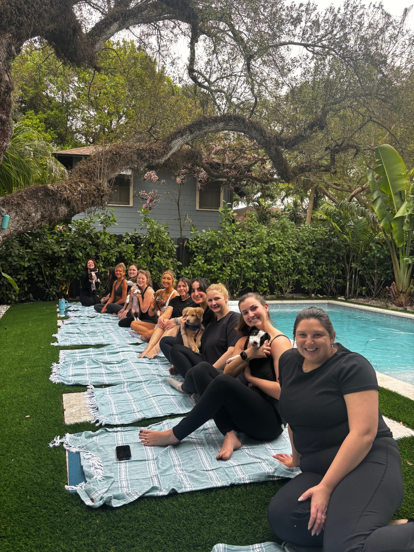 Guests seated beside a pool with puppies during a private event