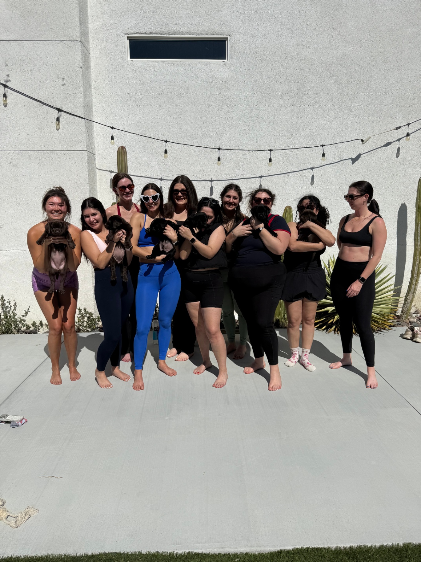 Palm Springs group lined up against a white wall holding small black puppies