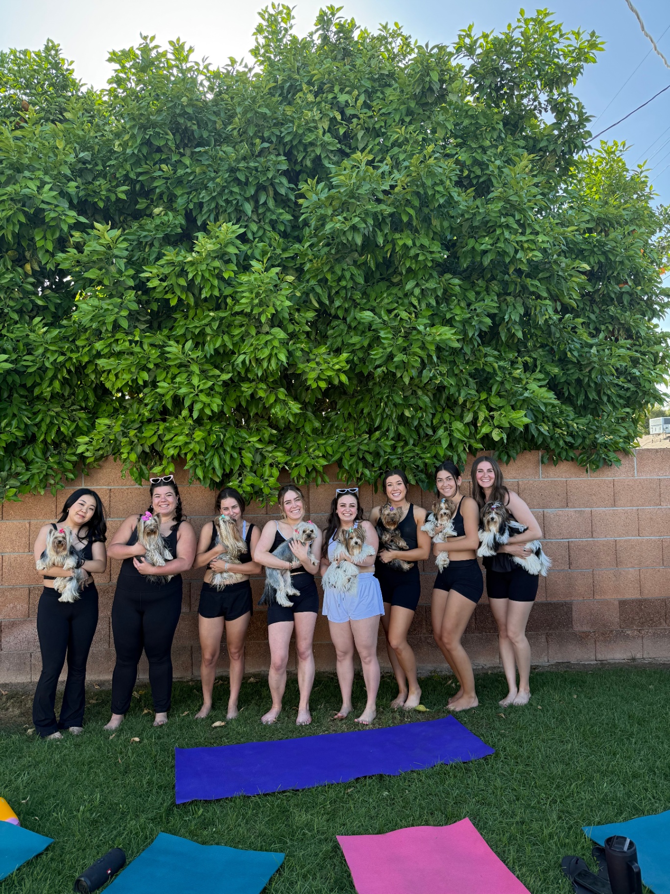 Guests lined up beneath a large green tree holding yorkies after an outdoor Scottsdale class