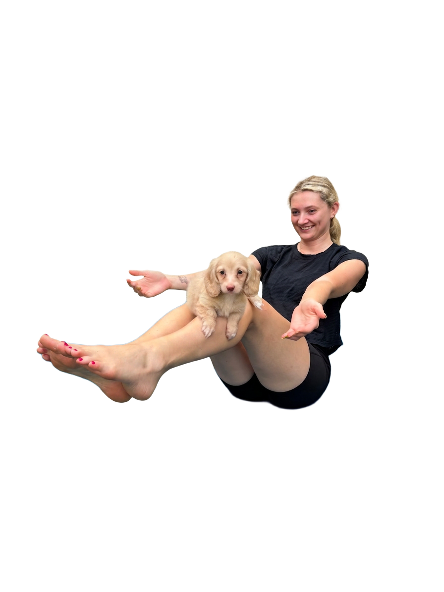 Student in boat pose balancing a dachshund puppy
